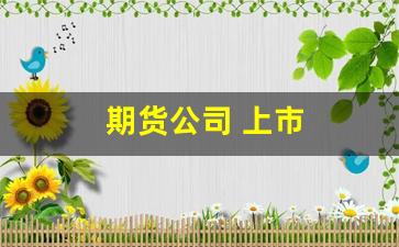 期货公司 上市(期货公司上市股票)_https://www.qldgs.com_原油期货_第1张